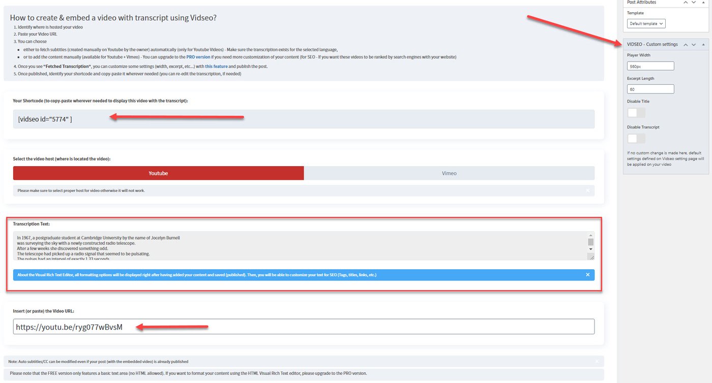 VidSEO editor view with transcript text area and custom settings