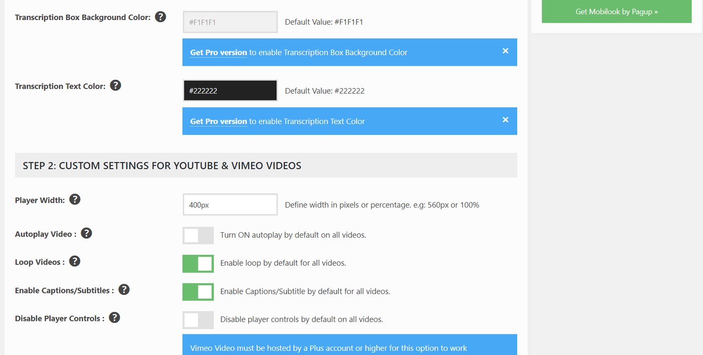 VidSEO custom settings for YouTube and Vimeo videos